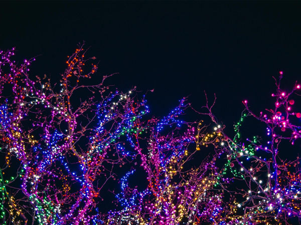 太阳能路灯的使用寿命受哪些因素影响?