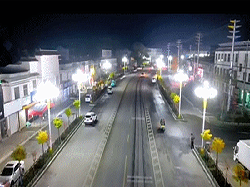 临沂市兰陵县中华灯成功案例