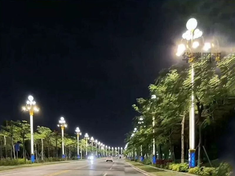 广东东莞中华玉兰灯成功案例